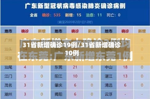 31省新增确诊19例/31省新增确诊10例