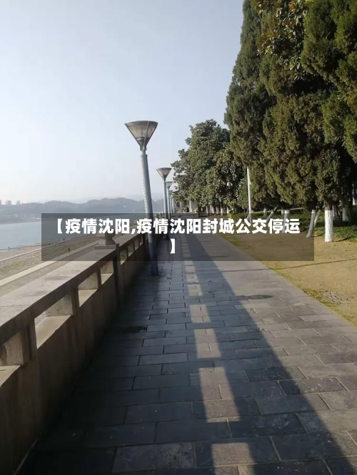 【疫情沈阳,疫情沈阳封城公交停运】-第1张图片