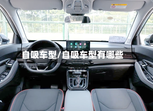 自吸车型/自吸车型有哪些