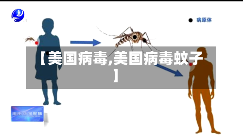 【美国病毒,美国病毒蚊子】