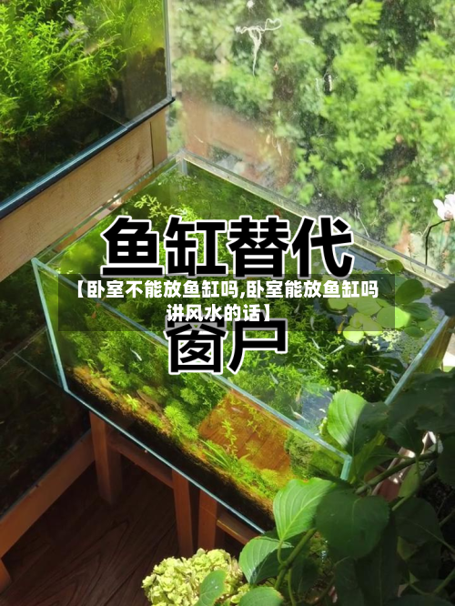 【卧室不能放鱼缸吗,卧室能放鱼缸吗讲风水的话】