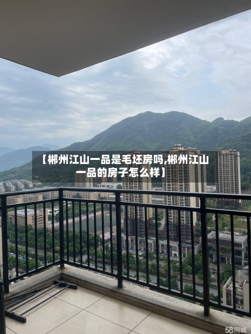 【郴州江山一品是毛坯房吗,郴州江山一品的房子怎么样】