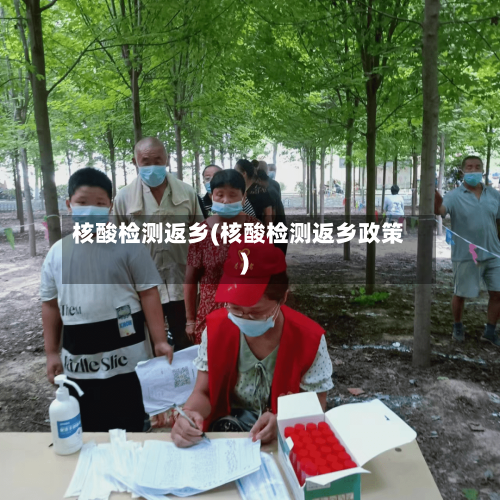 核酸检测返乡(核酸检测返乡政策)