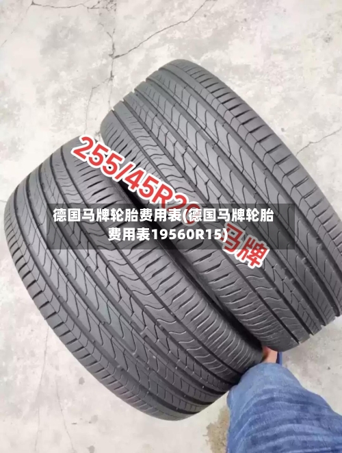 德国马牌轮胎费用表(德国马牌轮胎费用表19560R15)