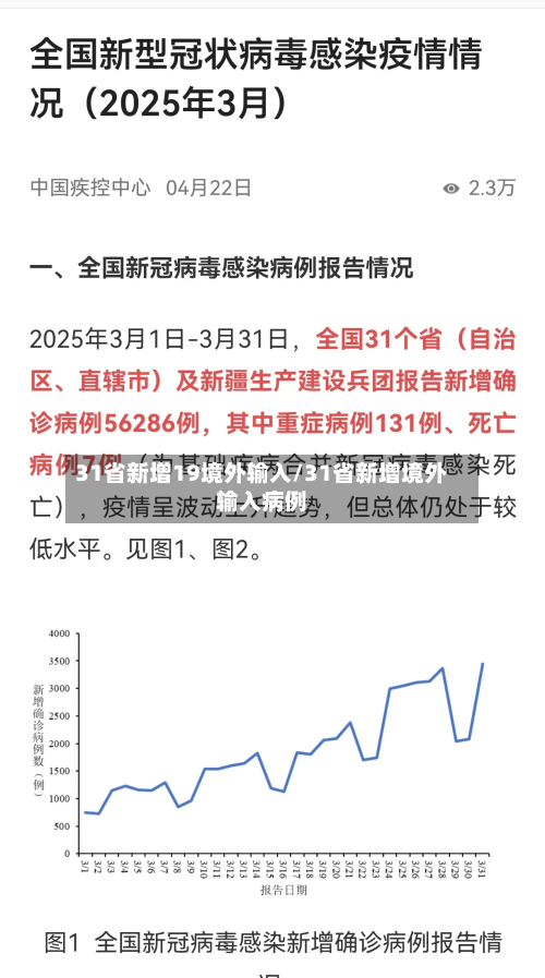31省新增19境外输入/31省新增境外输入病例