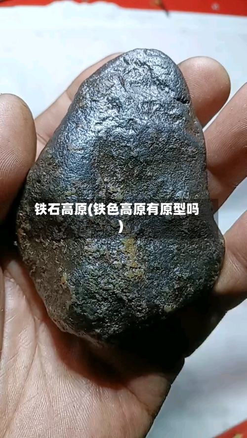 铁石高原(铁色高原有原型吗)