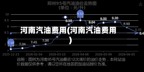 河南汽油费用(河南汽油费用)