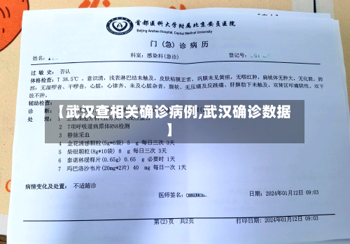 【武汉查相关确诊病例,武汉确诊数据】
