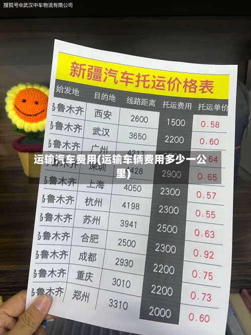 运输汽车费用(运输车辆费用多少一公里)
