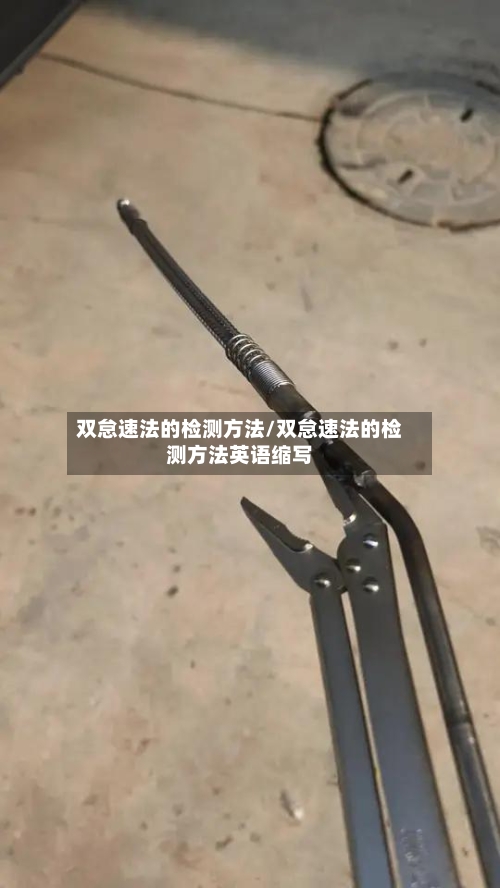 双怠速法的检测方法/双怠速法的检测方法英语缩写