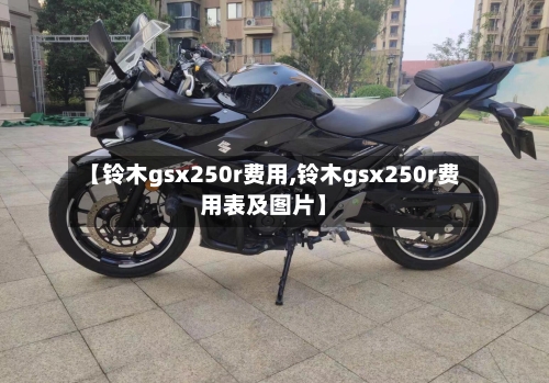 【铃木gsx250r费用,铃木gsx250r费用表及图片】