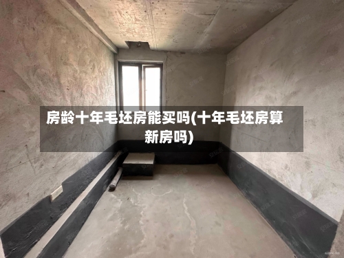 房龄十年毛坯房能买吗(十年毛坯房算新房吗)
