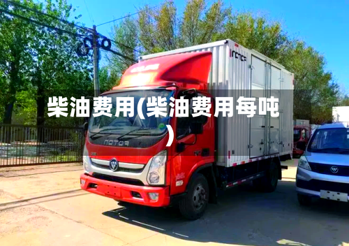 柴油费用(柴油费用每吨)