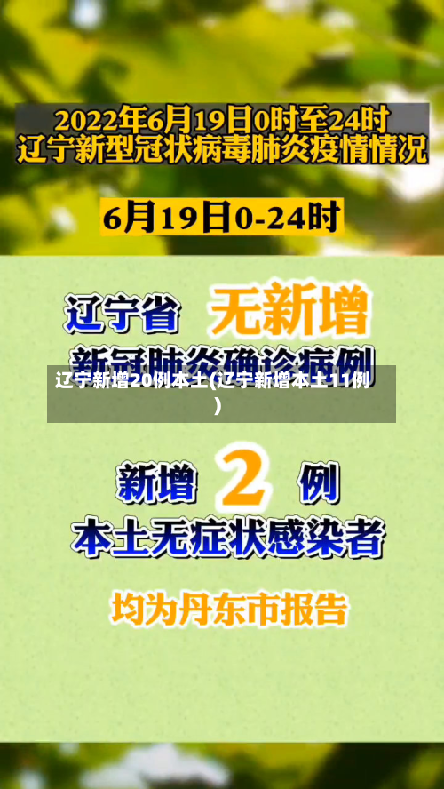 辽宁新增20例本土(辽宁新增本土11例)