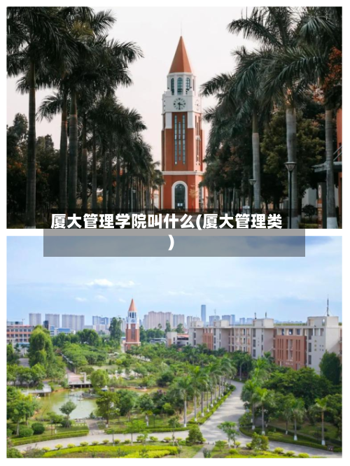 厦大管理学院叫什么(厦大管理类)
