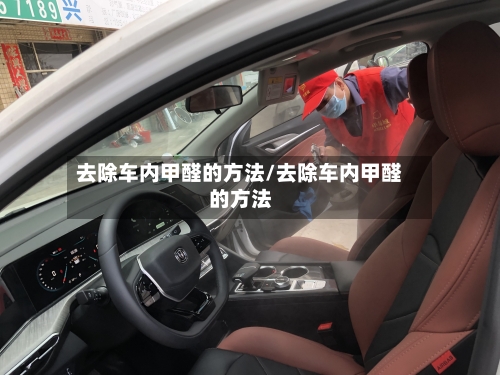 去除车内甲醛的方法/去除车内甲醛的方法