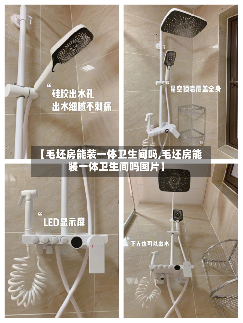 【毛坯房能装一体卫生间吗,毛坯房能装一体卫生间吗图片】