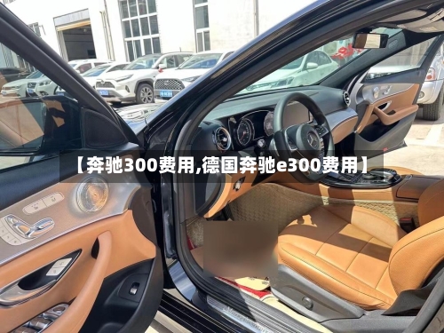 【奔驰300费用,德国奔驰e300费用】