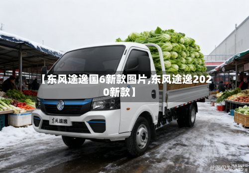 【东风途逸国6新款图片,东风途逸2020新款】