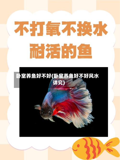 卧室养鱼好不好(卧室养鱼好不好风水讲究)