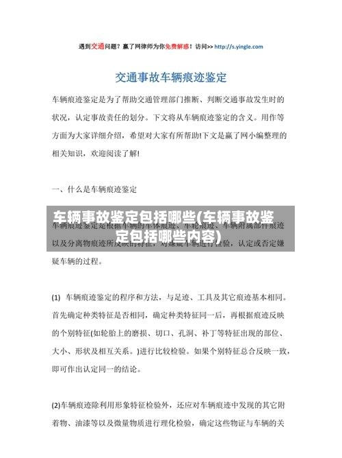 车辆事故鉴定包括哪些(车辆事故鉴定包括哪些内容)