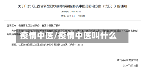 疫情中医/疫情中医叫什么
