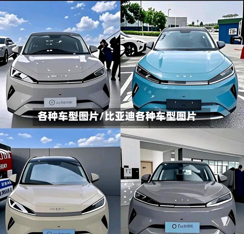 各种车型图片/比亚迪各种车型图片