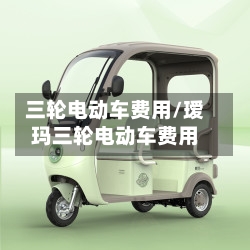 三轮电动车费用/瑷玛三轮电动车费用