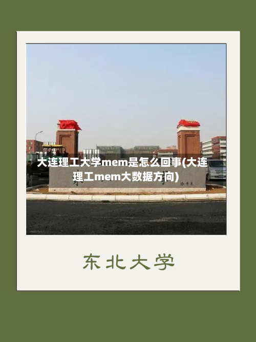 大连理工大学mem是怎么回事(大连理工mem大数据方向)