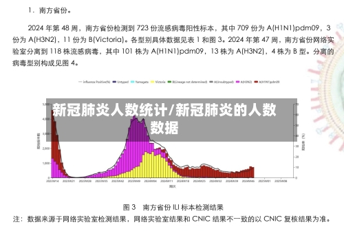 新冠肺炎人数统计/新冠肺炎的人数数据