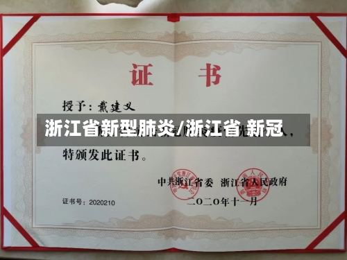 浙江省新型肺炎/浙江省 新冠