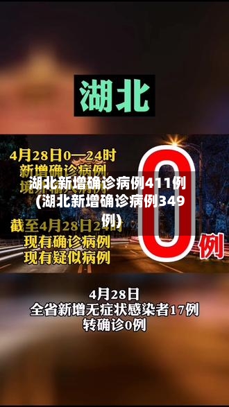 湖北新增确诊病例411例(湖北新增确诊病例349例)