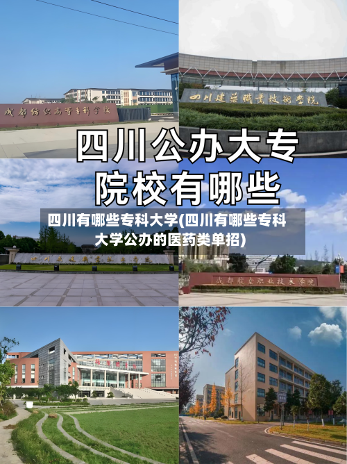 四川有哪些专科大学(四川有哪些专科大学公办的医药类单招)-第3张图片
