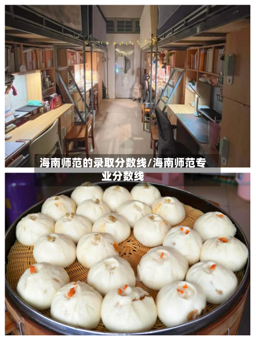 海南师范的录取分数线/海南师范专业分数线
