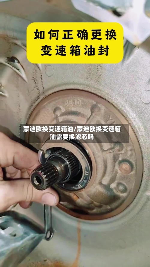 蒙迪欧换变速箱油/蒙迪欧换变速箱油需要换滤芯吗