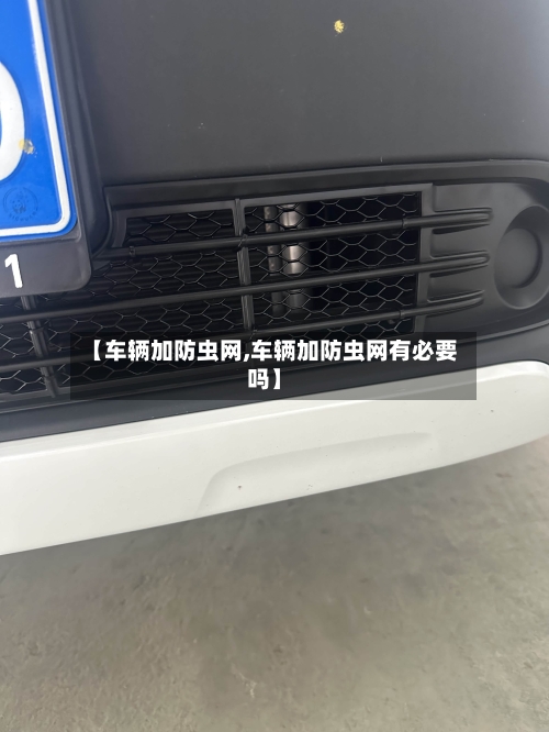 【车辆加防虫网,车辆加防虫网有必要吗】