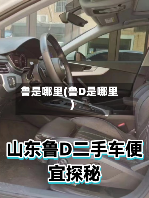 鲁是哪里(鲁D是哪里)