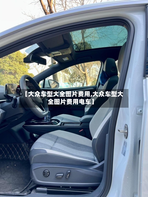【大众车型大全图片费用,大众车型大全图片费用电车】