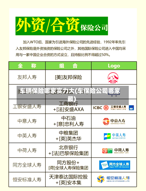 车辆保险哪家实力大(车保险公司哪家最)