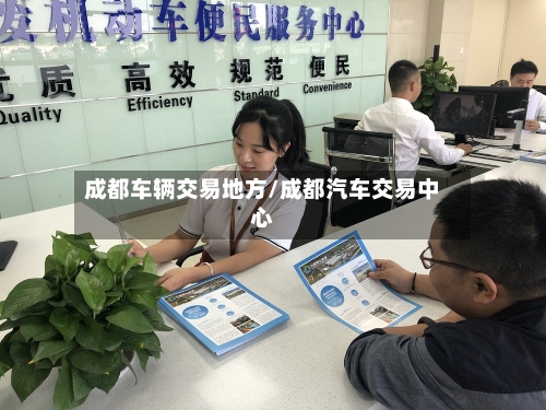 成都车辆交易地方/成都汽车交易中心