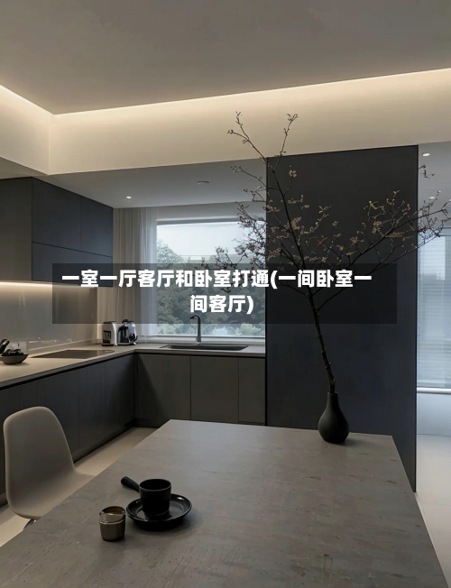 一室一厅客厅和卧室打通(一间卧室一间客厅)