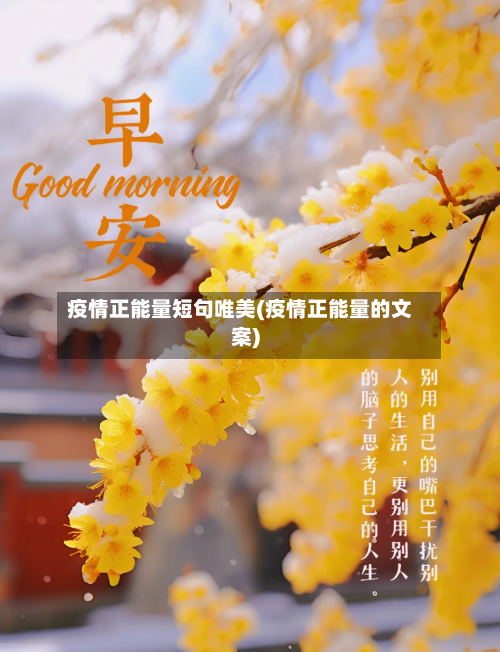 疫情正能量短句唯美(疫情正能量的文案)