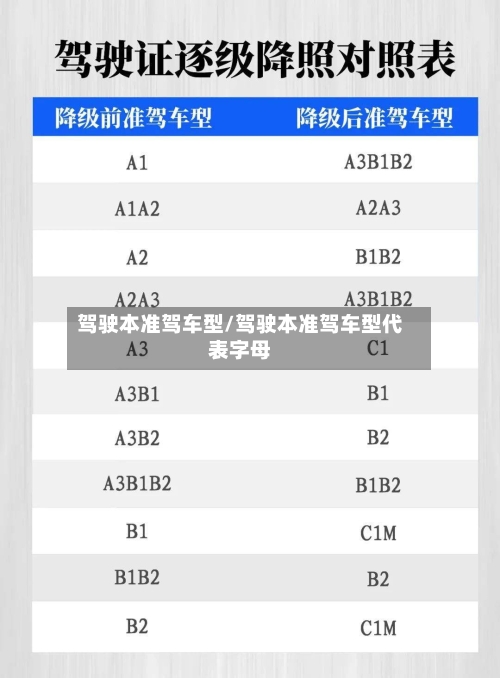 驾驶本准驾车型/驾驶本准驾车型代表字母