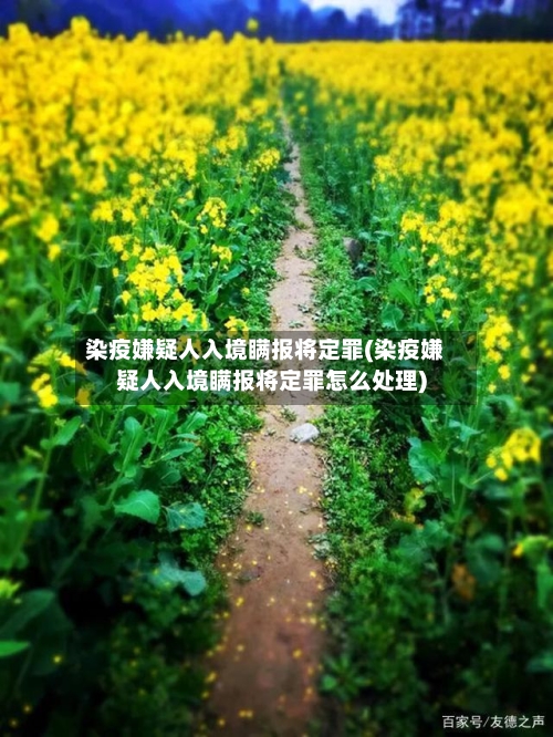 染疫嫌疑人入境瞒报将定罪(染疫嫌疑人入境瞒报将定罪怎么处理)