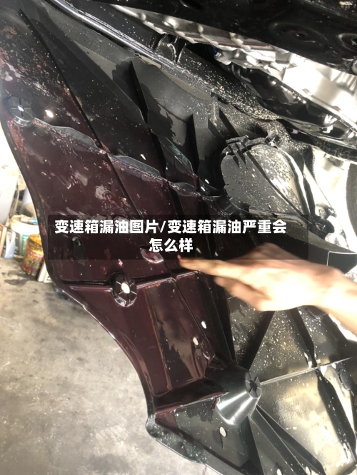 变速箱漏油图片/变速箱漏油严重会怎么样