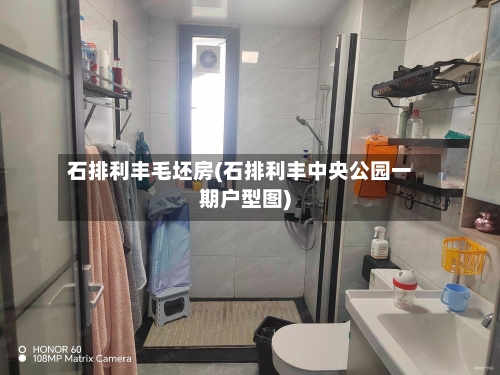 石排利丰毛坯房(石排利丰中央公园一期户型图)