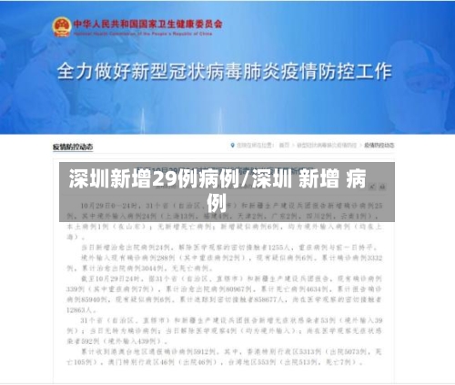 深圳新增29例病例/深圳 新增 病例