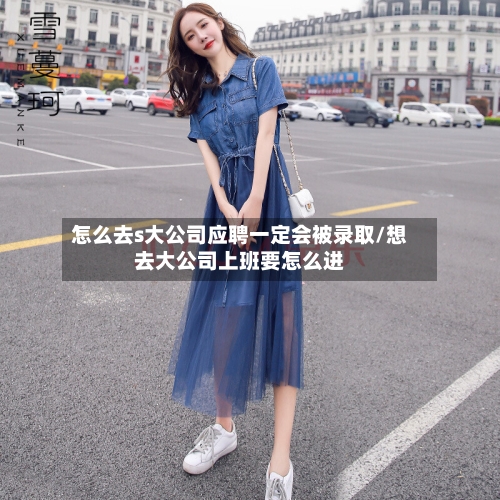 怎么去s大公司应聘一定会被录取/想去大公司上班要怎么进