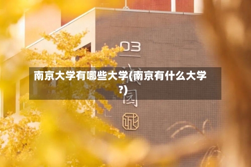 南京大学有哪些大学(南京有什么大学?)