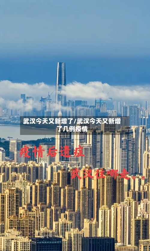 武汉今天又新增了/武汉今天又新增了几例疫情-第1张图片